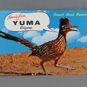 Vintage Postcard - Road Runner Howdy From Yuma - Petley